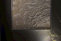 IMG_2017